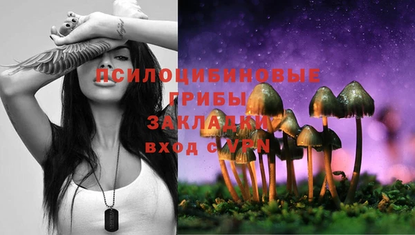 mix Горняк