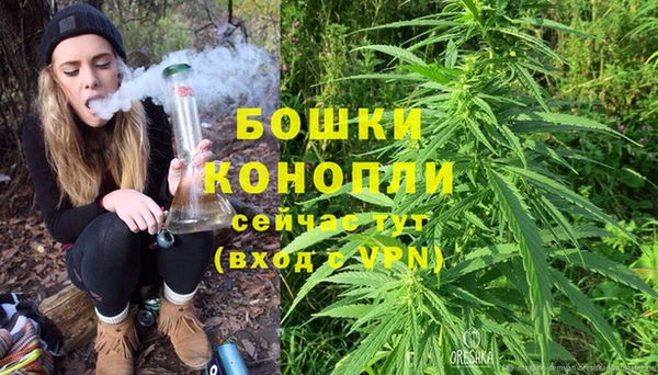 тгк Горнозаводск